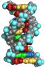 Molekuelstruktur.png