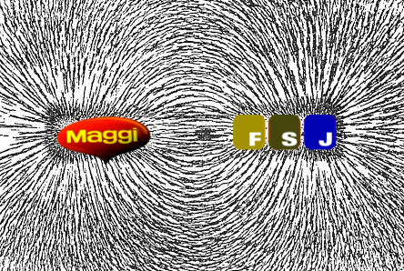 Vereinfachte Darstellung der quasimagnetischen Vorgänge Maggi / FSJ