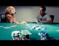 Pokern-mit-Hund.jpg