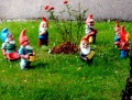 792px-7 garden gnomes.jpg